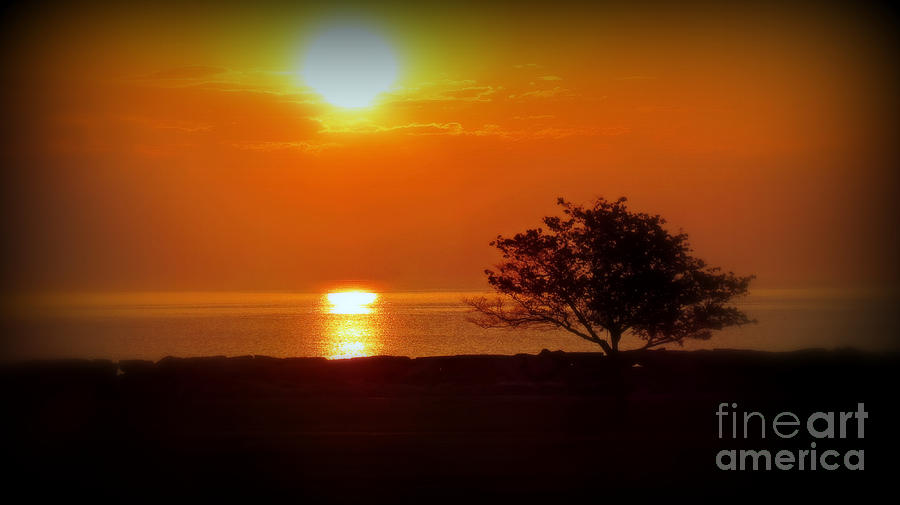 Summer Photograph - Early Morning Sunrise On A Silhouetted Beach by Kay Novy