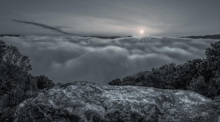 Early Morning Sunrise Photograph by Will Moneymaker