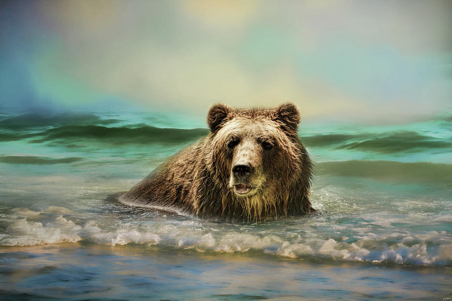 Early Morning Swim Bear Art Photograph by Jai Johnson