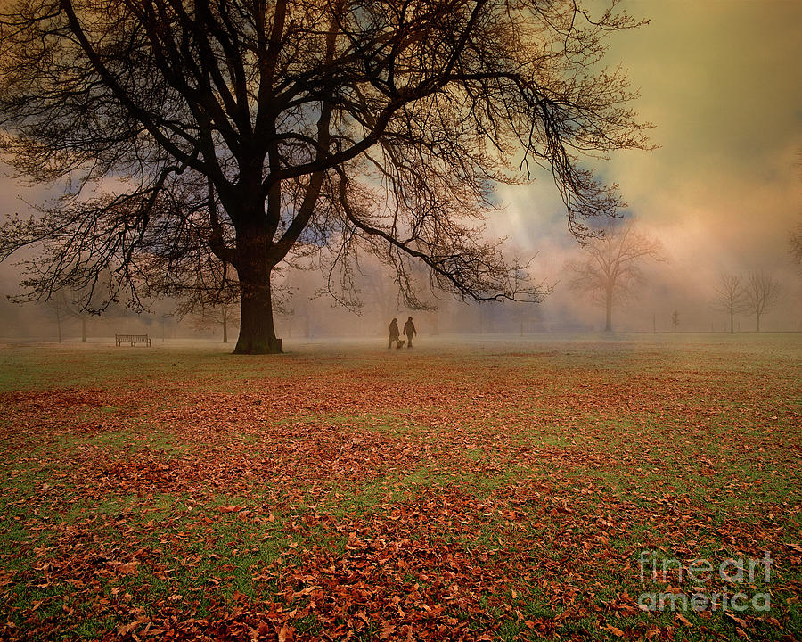 Early Morning in the Park Photograph by Edmund Nagele FRPS