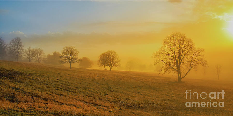 Early Morning Winter Fog Digital Art by Randy Steele