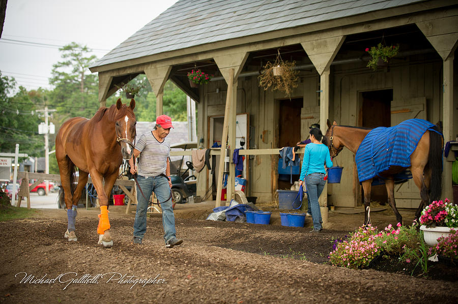 Early Morning Workout at Saratoga 10 Photograph by Michael Gallitelli