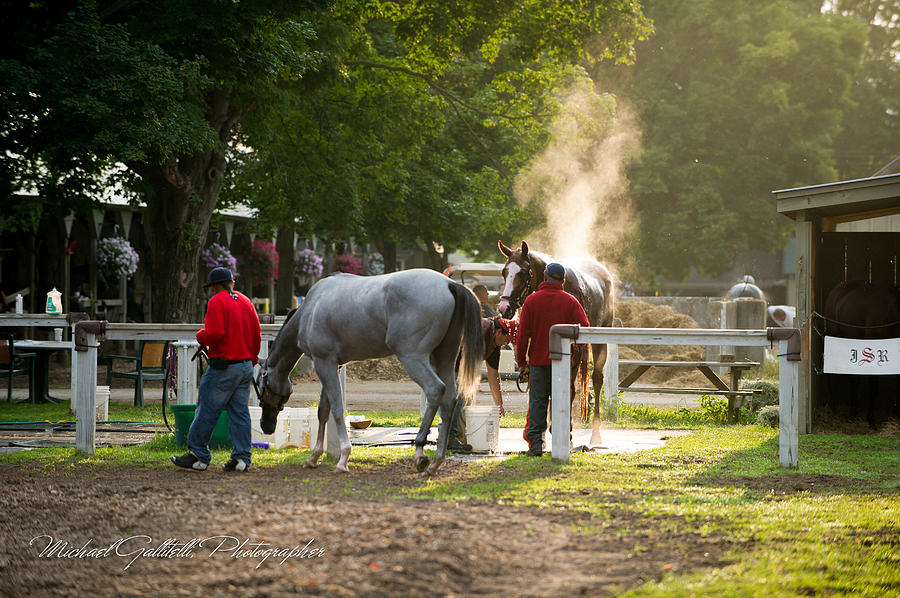 Early Morning Workout at Saratoga 8 Photograph by Michael Gallitelli