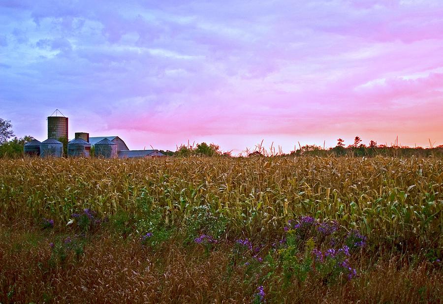 Early October Sky Over Corn Field Photograph by Levin Rodriguez
