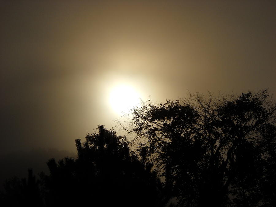 Early September Foggy Sunrise Photograph by Kent Lorentzen