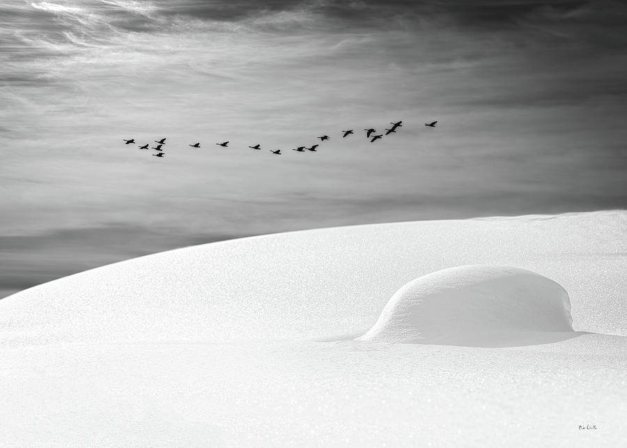 Early Snow Photograph by Bob Orsillo