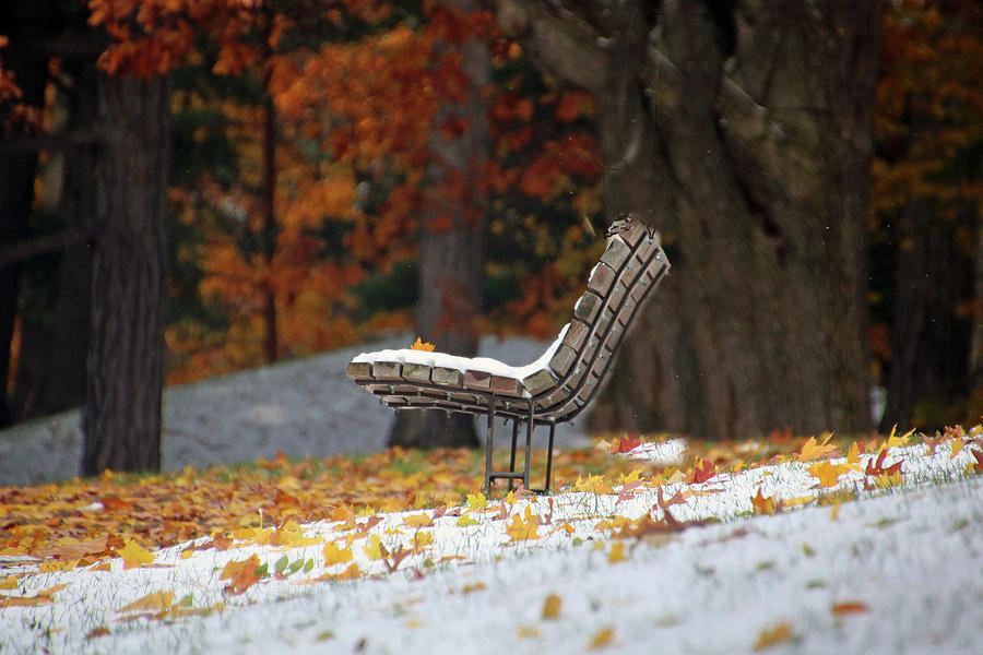 Early Snow Photograph by Gerald Salamone