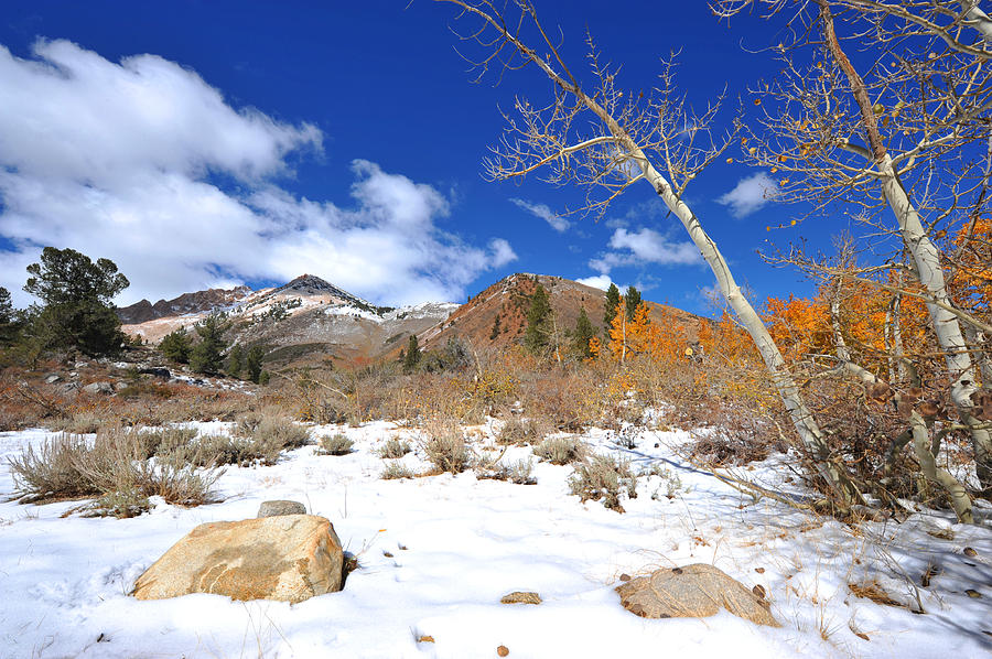 Early Snow in Bishop Creek Photograph by Dung Ma