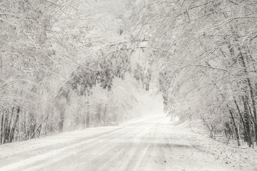 Early Snowfall Photograph by Lori Deiter