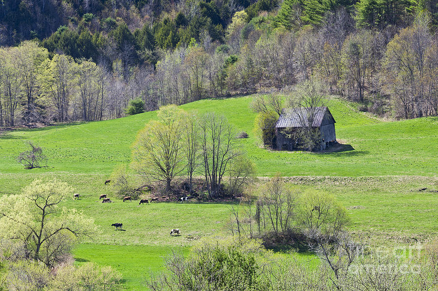 Early Spring Countryside Photograph by Alan L Graham