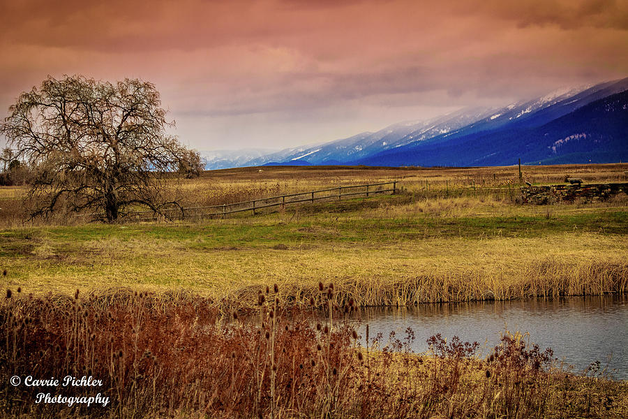 Early Spring in the Valley Photograph by Carrie Pichler Pixels