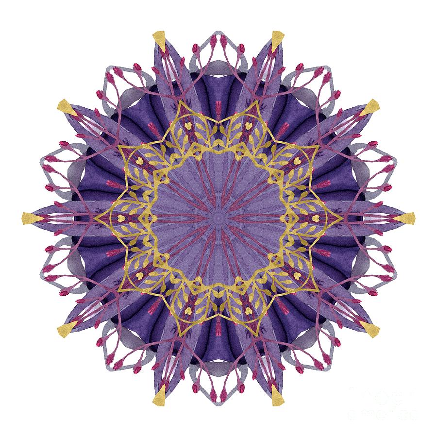 Spring Digital Art - Early Spring Mandala by Mary Machare