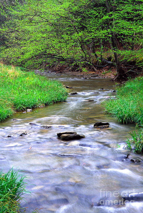 West Virginia Photograph - Early spring Rushing Stream by Thomas R Fletcher