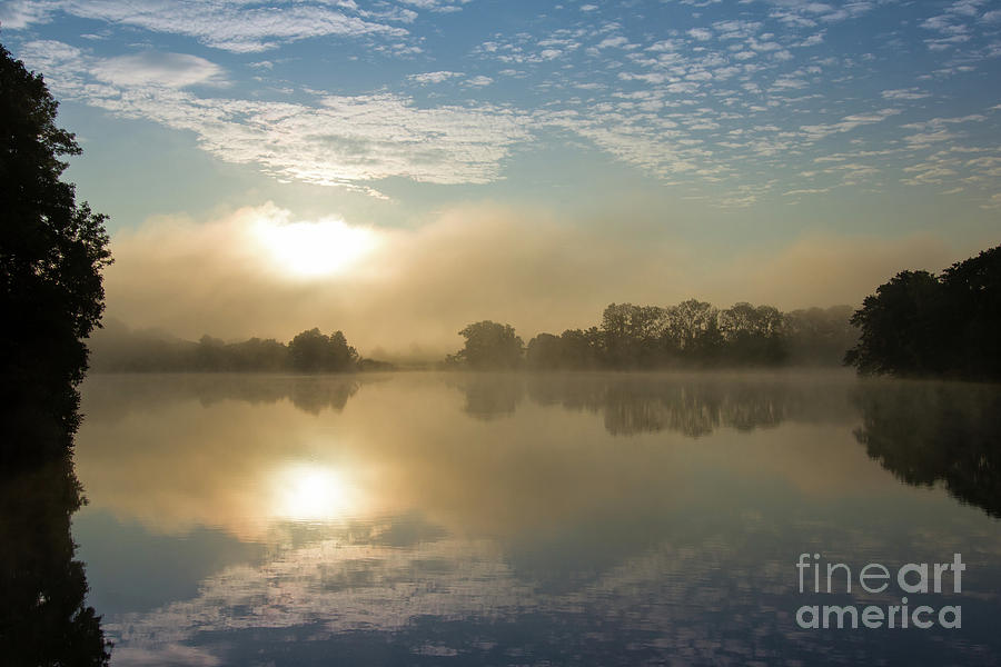 Nature Photograph - Early summer morning at the pond by Michal Boubin