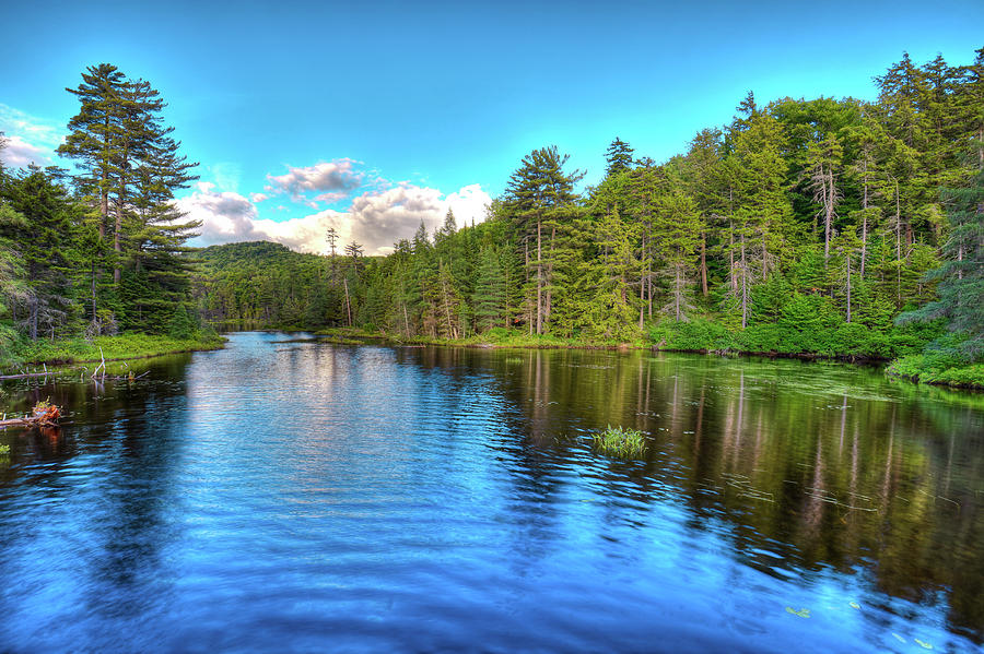 Early Summer on Nicks Lake Photograph by David Patterson