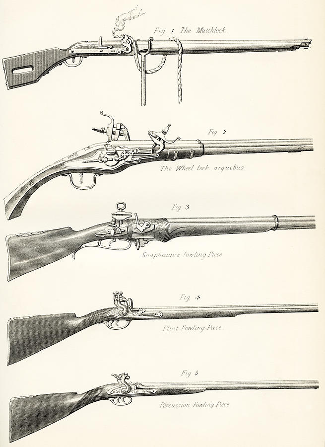 Welsh Drawing - Early Types Of Firearms. 1. The by Vintage Design Pics