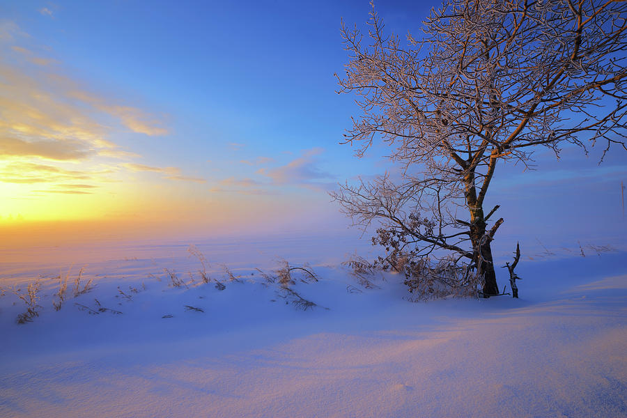 Early Winter Morning Photograph by Dan Jurak
