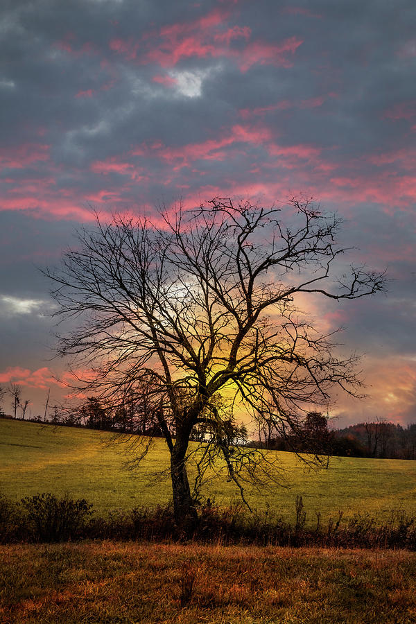 Fall Photograph - Early Winter Sunset by Debra and Dave Vanderlaan