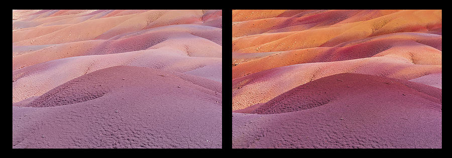 Earth Bodyscape.  Natural Abstract. Diptych Photograph by Jenny Rainbow