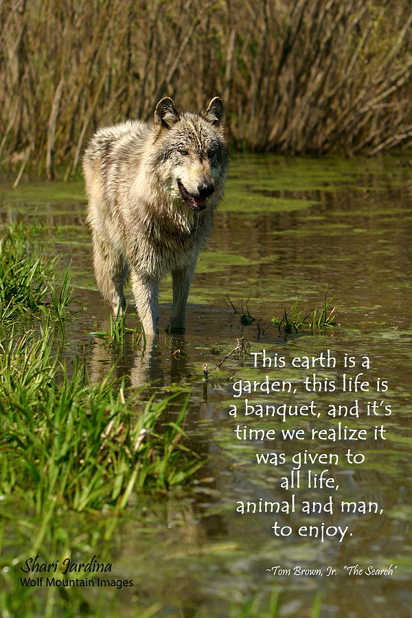 Wolves Photograph - Earth is a Garden for All by Shari Jardina