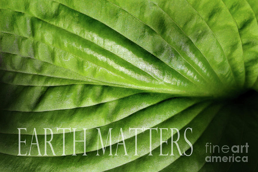 Earth Matters Leaf Photograph by Karen Adams