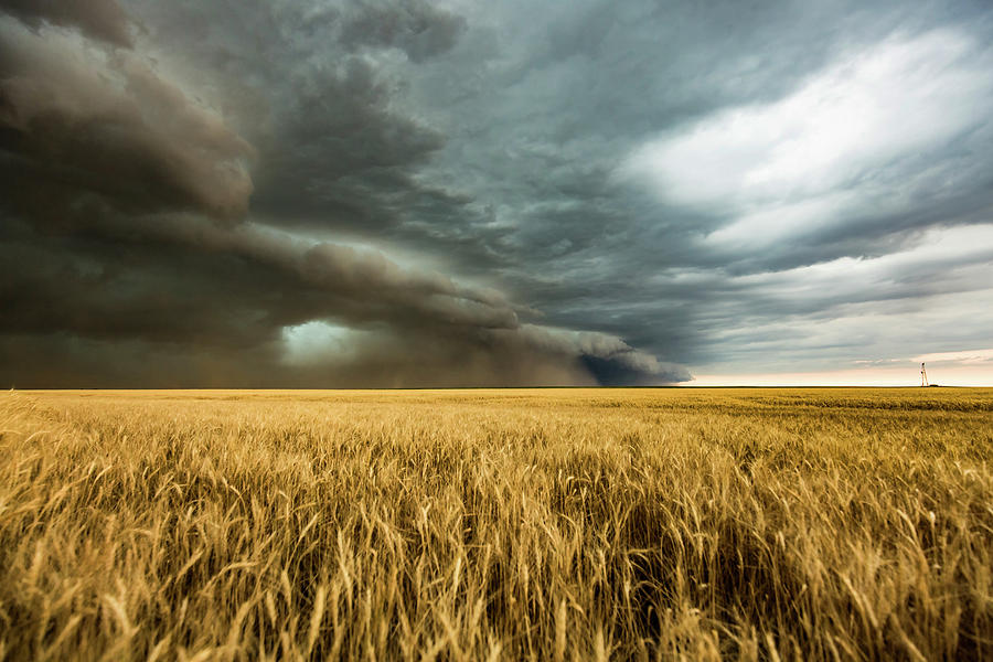 Earth Mover - Storm Advances Over Wheat Field In Colorado Photograph