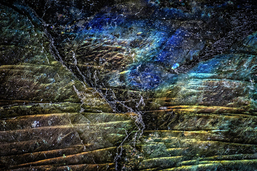 Earth Portrait 01-18 by David Waldrop Earth Portrait 01-18 by David Waldrop