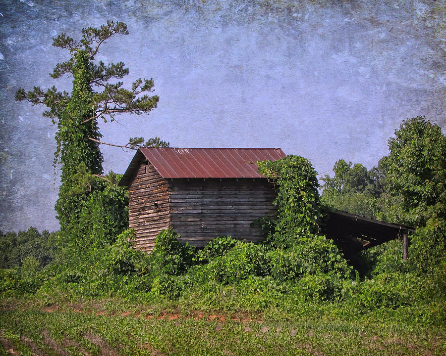 Barn Photograph - Earth Reclaiming by Vic Montgomery