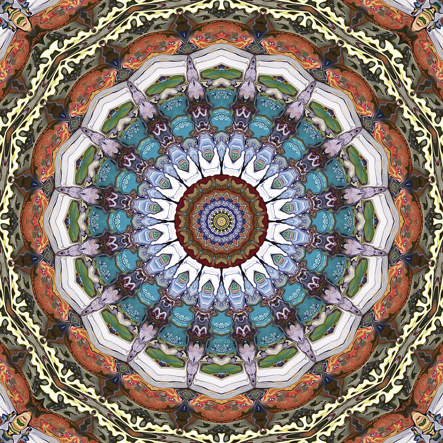 Earth Tones Mandala Digital Art by Phil Perkins