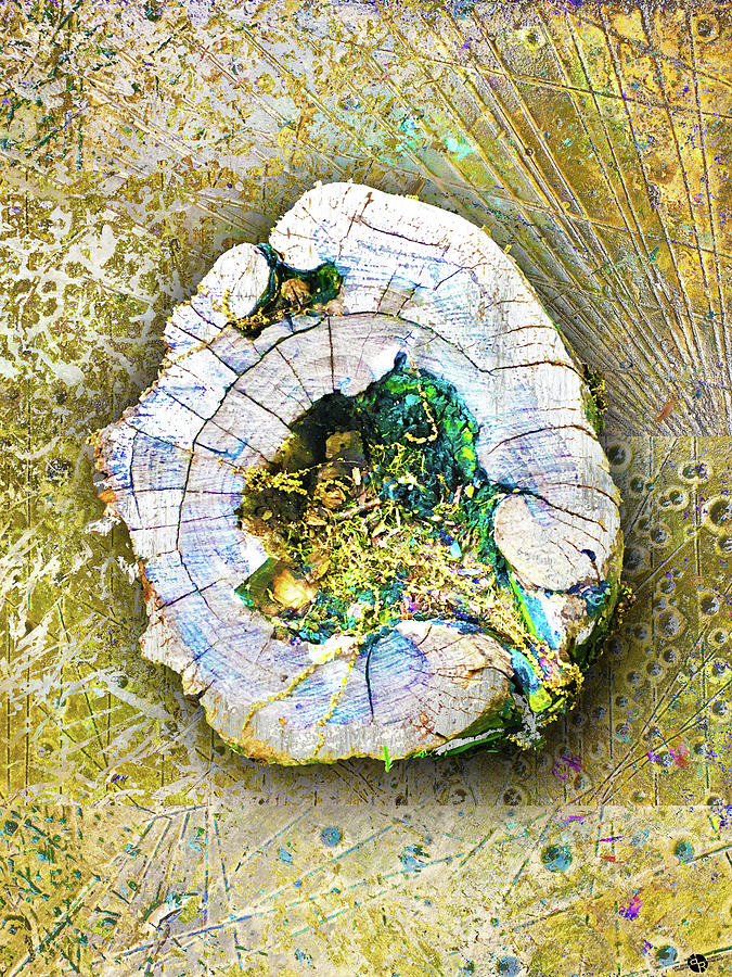 Earth Tree Stump Mixed Media by Tony Rubino