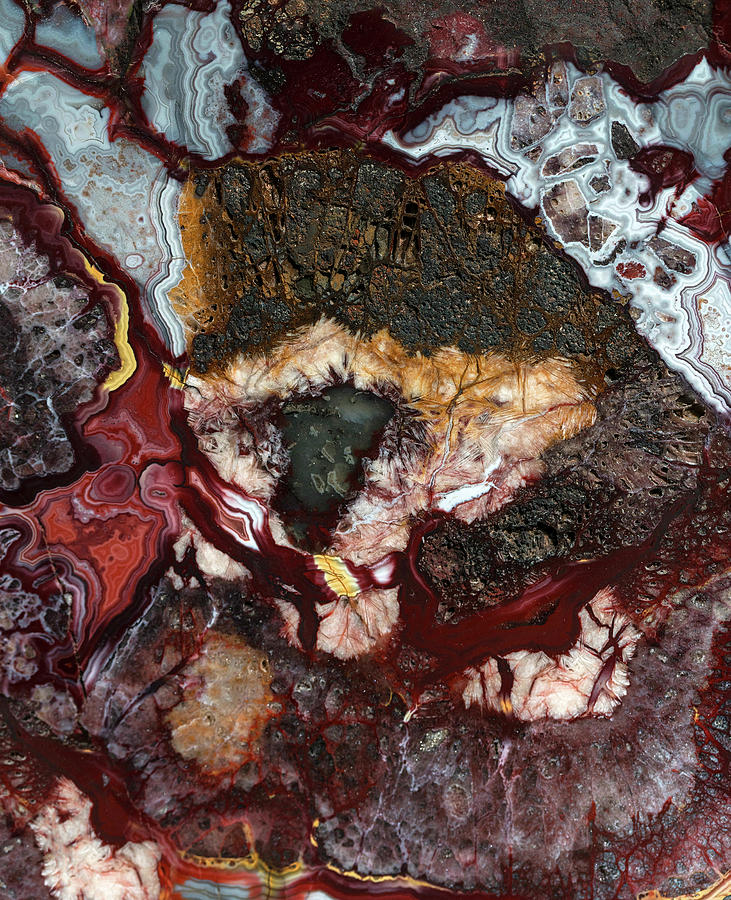 Earth treasures - Colorful Agate Photograph by Jaroslaw Blaminsky