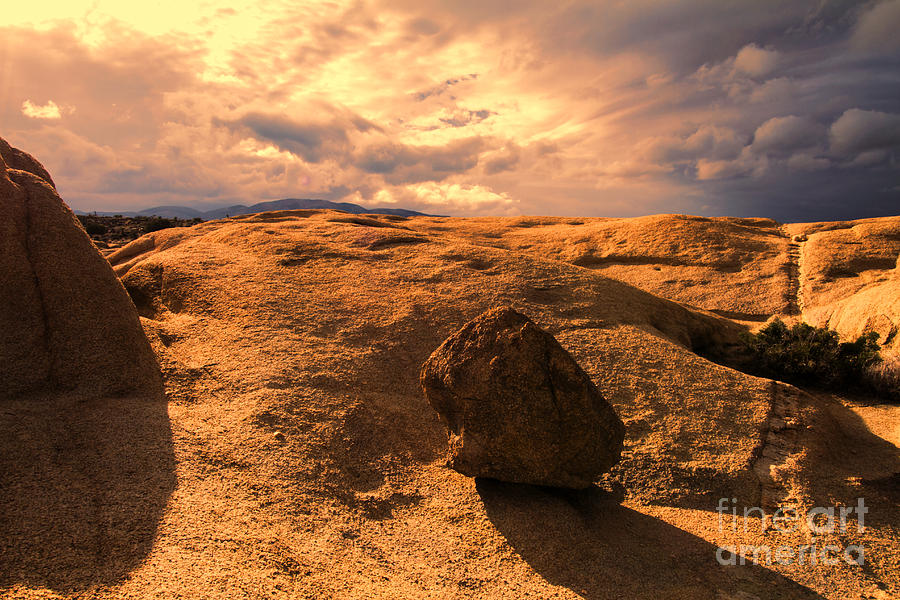 Earth's Seams by Photography by Laura Lee Earth's Seams by Photography by Laura Lee