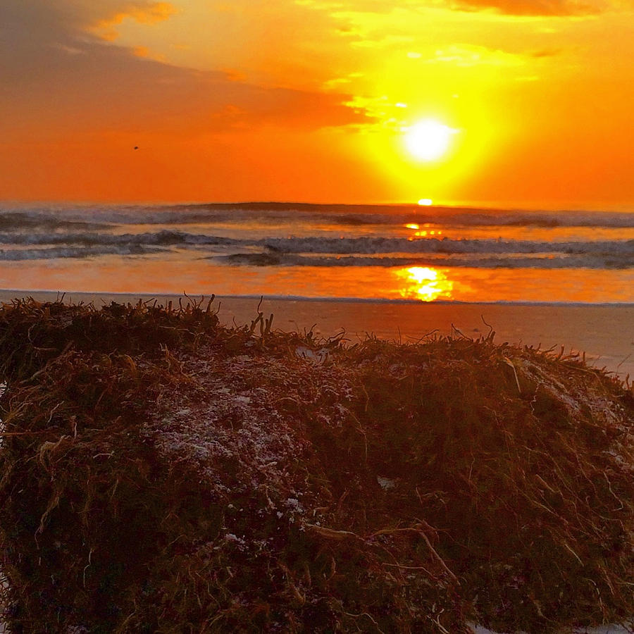 Beach Photograph - Earthy Sunrise by Mary Lewis and Gary Crumley