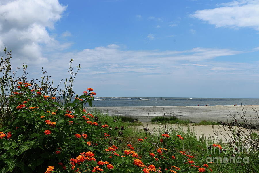 East Beach - Golden Isles Photograph by Christiane Schulze Art And Photography