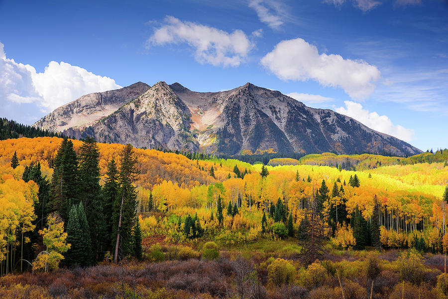 East Beckwith Mountain Photograph by Dean Bjerke