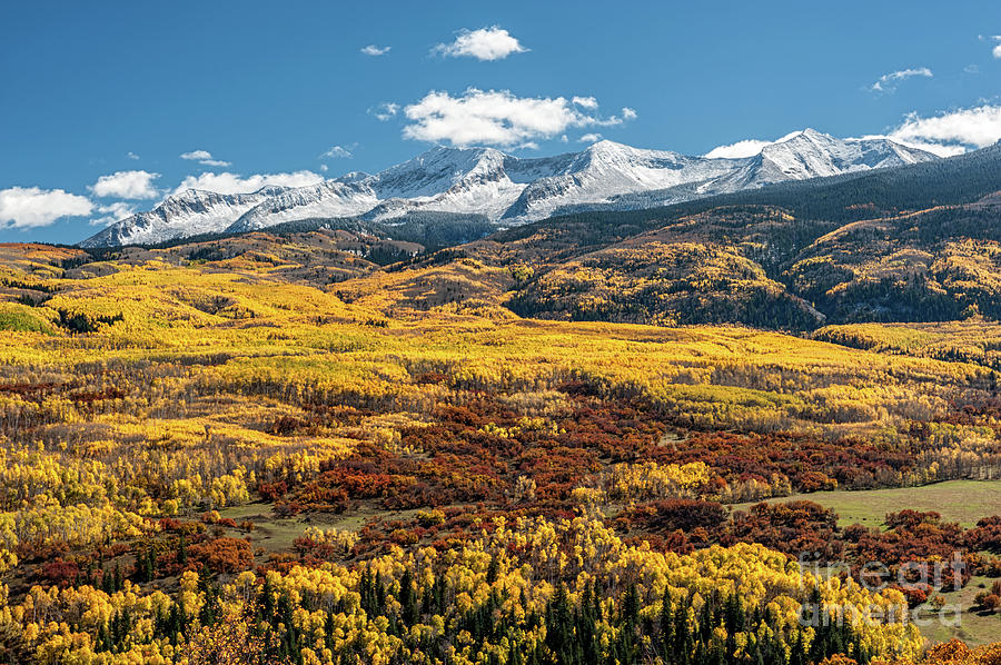 East Beckwith Mountain in CO Photograph by Tibor Vari | Fine Art America