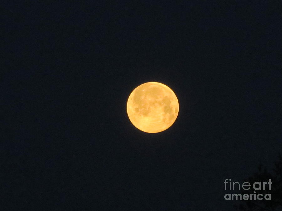 East Coast Full Moon  Photograph by Susan Carella
