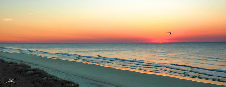 East Coast Sunrise Photograph by Sam Davis Johnson