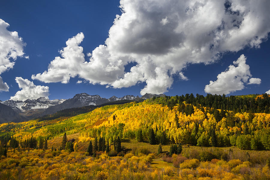 East Dallas Creek in Autumn Photograph by Bridget Calip - Fine Art America