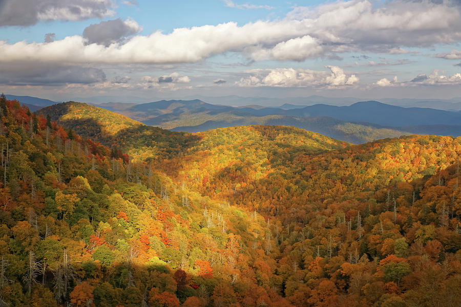 East Fork Overlook in the Fall Photograph by David Rowe - Fine Art America