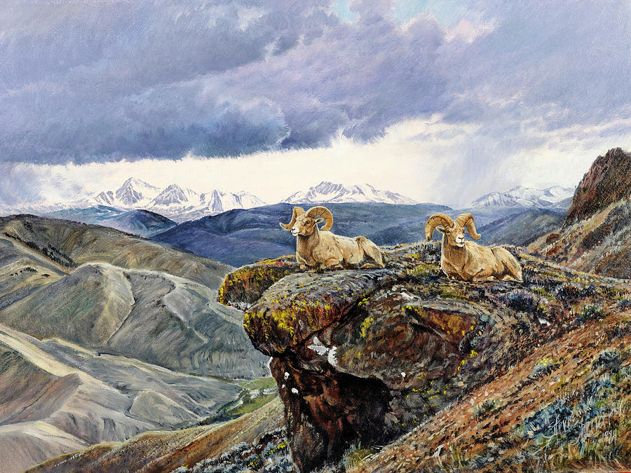 East Fork Rams Painting by Steve Spencer