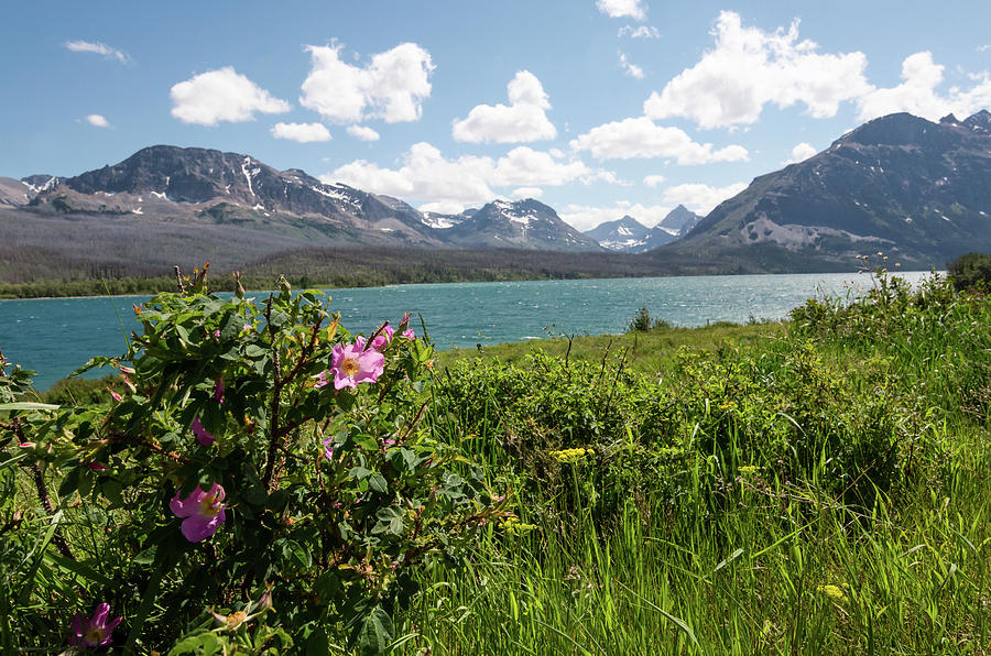 East Glacier National Park Photograph by Margaret Pitcher