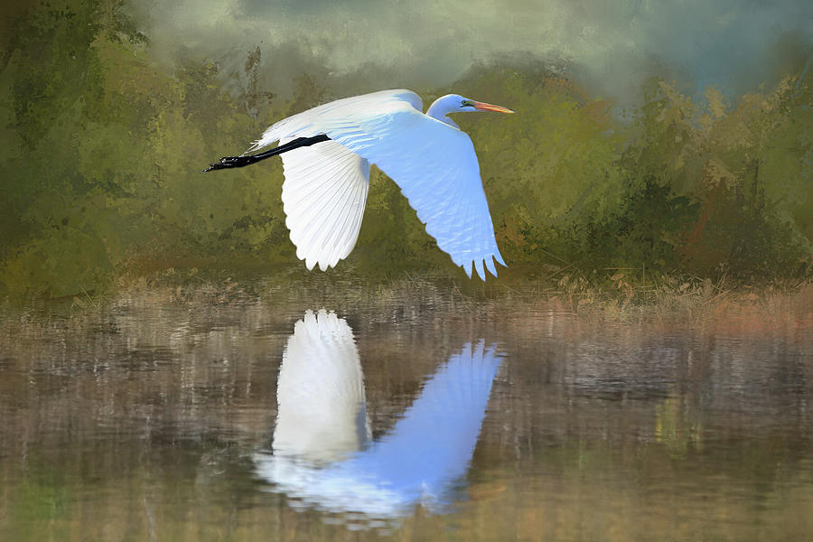 East of Egret Photograph by Donna Kennedy