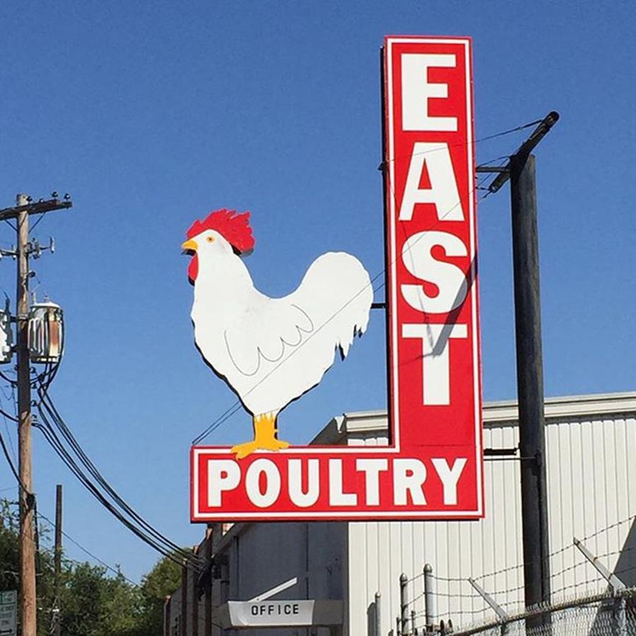 Austin Photograph - East Poultry Austin #atx #austin by Gin Young