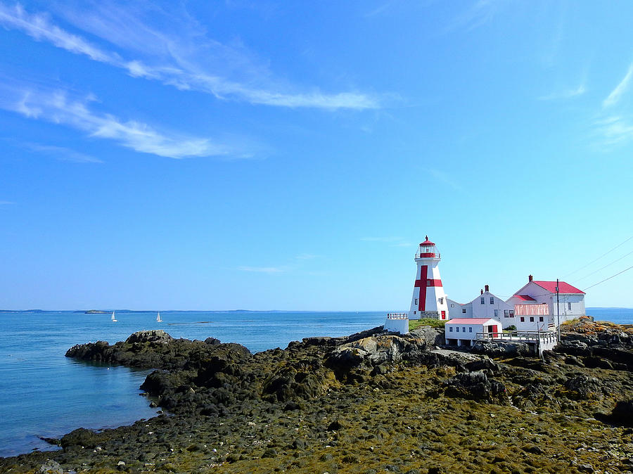 East Quoddy Lighthouse by Teri Ridlon East Quoddy Lighthouse by Teri Ridlon