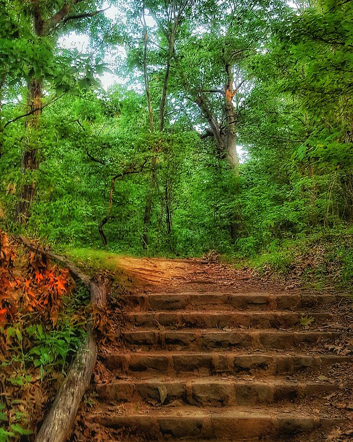 East rock Photograph by Jules ann - Fine Art America