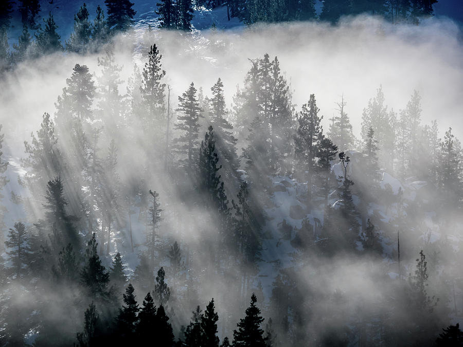 East Shore Inversion, Lake Tahoe Photograph by Martin Gollery