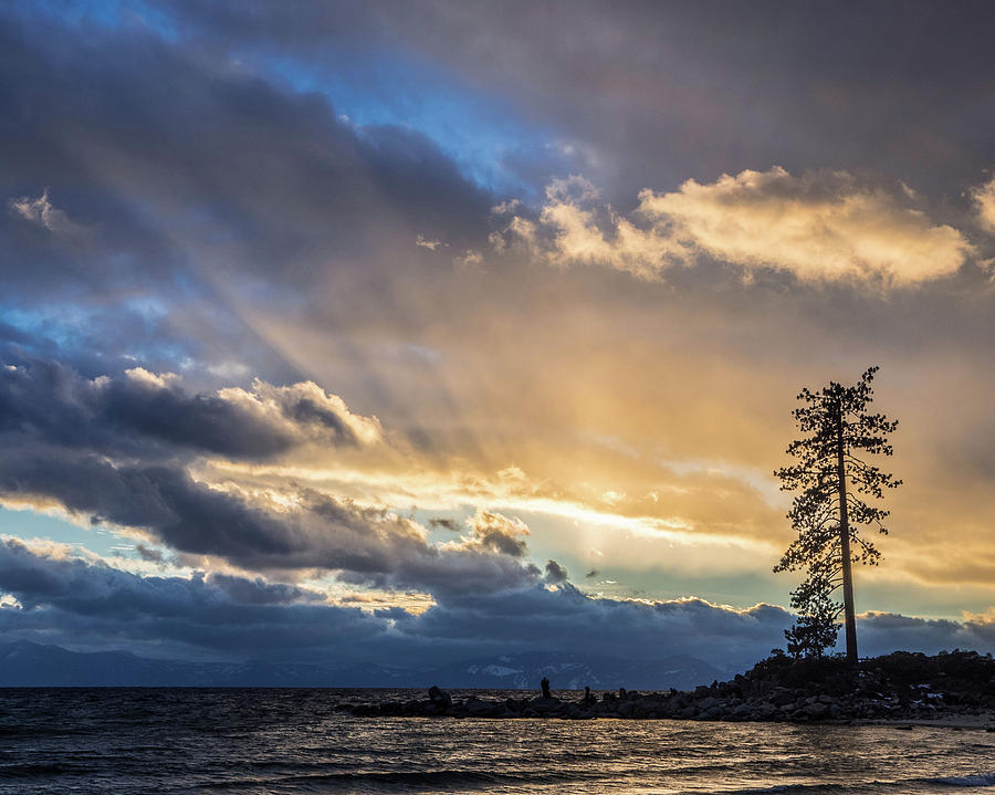 East Shore Lake Tahoe Photograph by Martin Gollery