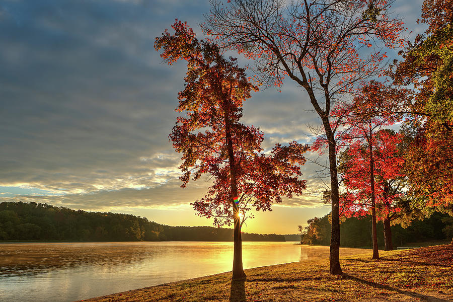 Tree Photograph - East Texas Autumn Sunrise At The Lake by Todd Aaron