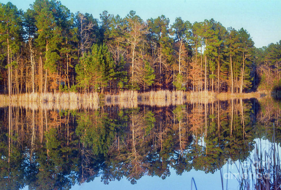 East Texas Sunset Reflection Photograph by Bob Phillips